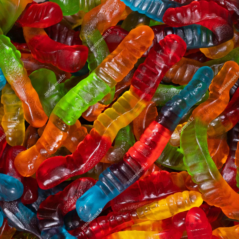 Vers de terre lisse 100g