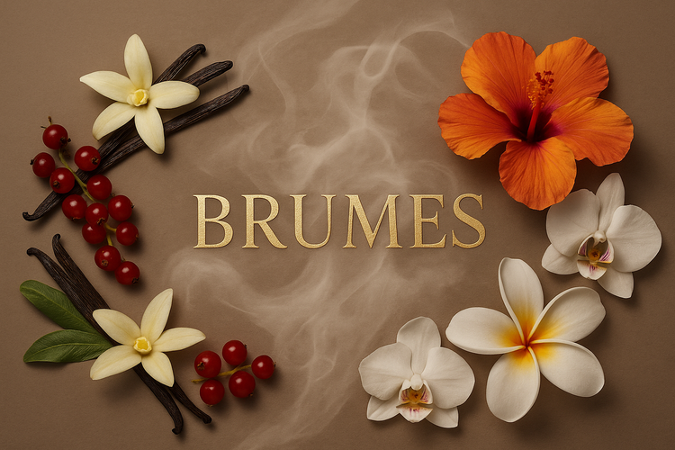 Brumes