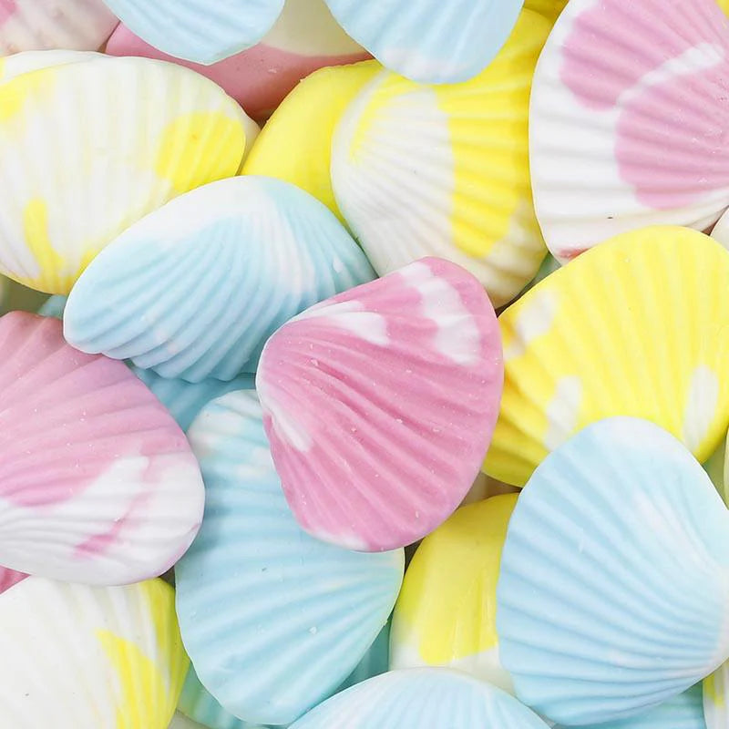 COQUILLAGES PALOURDES Halal