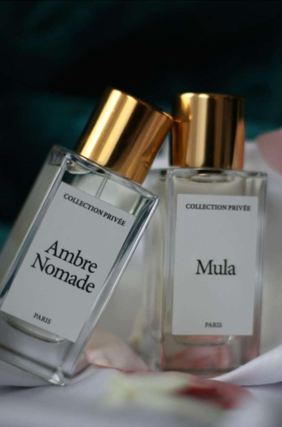 Parfums collection privée - 50ml